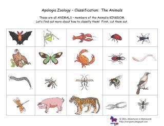 apologia zoology 1 classification animals.pdf