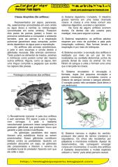 classe dos anfibios.pdf